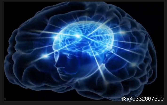 亚星房车官网价格最新版 vs 游艇价格：哪款移动空间更适合你的生活方式？